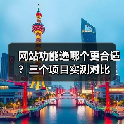 网站功能选哪个更合适？三个项目实测对比（图4）