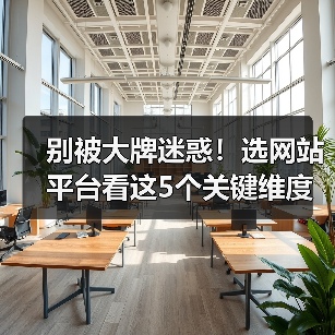 别被大牌迷惑！选网站平台看这5个关键维度，避开排行榜陷阱（图3）