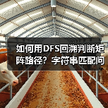 如何用DFS回溯判断矩阵路径？字符串匹配问题解析（图2）