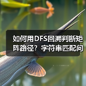 如何用DFS回溯判断矩阵路径？字符串匹配问题解析（图3）