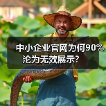 中小企业官网为何90%沦为无效展示？（图4）