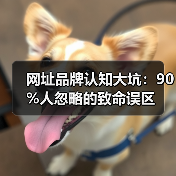 网址品牌认知大坑：90%人忽略的致命误区（图4）