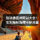 别迷信品牌网站大全！实测揭秘隐藏稀缺流量平台（图2）