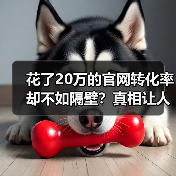 花了20万的官网转化率却不如隔壁？真相让人大开眼界！