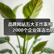 品牌网站五大王炸案例：2000个企业筛选出转化率提升的秘密
