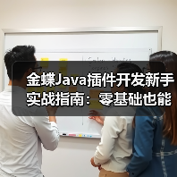金蝶Java插件开发新手实战指南：零基础也能轻松上手（图2）