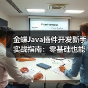 金蝶Java插件开发新手实战指南：零基础也能轻松上手（图3）