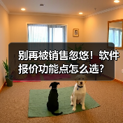 别再被销售忽悠！软件报价功能点怎么选？（图4）