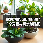软件功能点报价陷阱?3个真相与反杀策略揭秘(图4) 软件功能点报价陷阱?3个真相与反杀策略揭秘(图4)