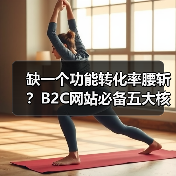 缺一个功能转化率腰斩?B2C网站必备五大核心功能揭秘(图1) 缺一个功能转化率腰斩?B2C网站必备五大核心功能揭秘(图1)