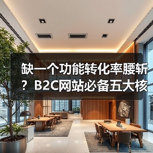 缺一个功能转化率腰斩?B2C网站必备五大核心功能揭秘(图3) 缺一个功能转化率腰斩?B2C网站必备五大核心功能揭秘(图3)