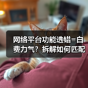 网络平台功能选错=白费力气?拆解如何匹配让你生意起飞!(图2) 网络平台功能选错=白费力气?拆解如何匹配让你生意起飞!(图2)