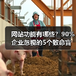 网站功能有哪些?90%企业忽视的5个致命盲区(图1) 网站功能有哪些?90%企业忽视的5个致命盲区(图1)