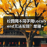 校园网不同子网LocalSend无法发现?单播+工具进程破解方案(图1) 校园网不同子网LocalSend无法发现?单播+工具进程破解方案(图1)