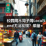 校园网不同子网LocalSend无法发现?单播+工具进程破解方案(图2) 校园网不同子网LocalSend无法发现?单播+工具进程破解方案(图2)