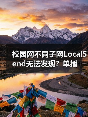 校园网不同子网LocalSend无法发现?单播+工具进程破解方案(图3) 校园网不同子网LocalSend无法发现?单播+工具进程破解方案(图3)