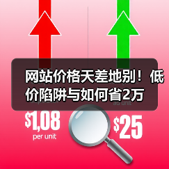 网站价格天差地别!低价陷阱与如何省2万(图2) 网站价格天差地别!低价陷阱与如何省2万(图2)
