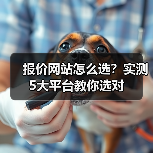 报价网站怎么选？实测5大平台教你选对（图2）