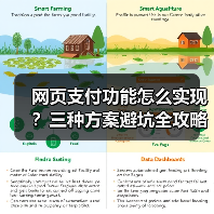 网页支付功能怎么实现？三种方案避坑全攻略（图4）