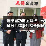 网络层功能全解析：寻址分片错报处理全揭秘