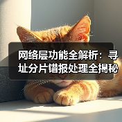 网络层功能全解析：寻址分片错报处理全揭秘（图2）