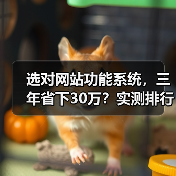 选对网站功能系统,三年省下30万?实测排行指南(图2) 选对网站功能系统,三年省下30万?实测排行指南(图2)