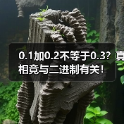 0.1加0.2不等于0.3?真相竟与二进制有关!(图1) 0.1加0.2不等于0.3?真相竟与二进制有关!(图1)