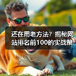 还在用老方法?揭秘网站排名前100的实战策略(图4) 还在用老方法?揭秘网站排名前100的实战策略(图4)