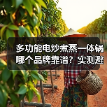 多功能电炒煮蒸一体锅哪个品牌靠谱?实测避坑指南(图4) 多功能电炒煮蒸一体锅哪个品牌靠谱?实测避坑指南(图4)