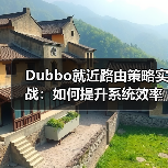 Dubbo就近路由策略实战：如何提升系统效率？（图4）