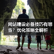 网站建设必备技巧有哪些？优化策略全解析（图3）