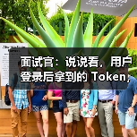 面试官：说说看，用户登录后拿到的 Token，你应该怎么存？存哪里？