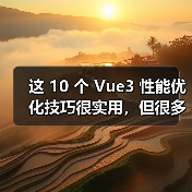 这 10 个 Vue3 性能优化技巧很实用，但很多项目都没用上（图1）