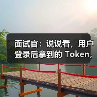 面试官:说说看,用户登录后拿到的 Token,你应该怎么存?存哪里?(图1) 面试官:说说看,用户登录后拿到的 Token,你应该怎么存?存哪里?(图1)
