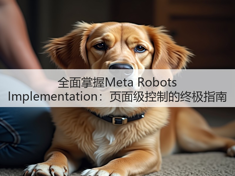 全面掌握Meta Robots Implementation:页面级控制的终极指南(图1) 全面掌握Meta Robots Implementation:页面级控制的终极指南(图1)