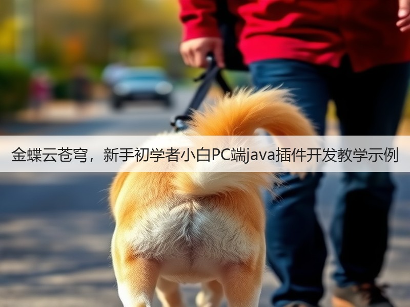 金蝶云苍穹,新手初学者小白PC端java插件开发教学示例(图3) 金蝶云苍穹,新手初学者小白PC端java插件开发教学示例(图3)
