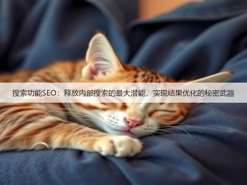 搜索功能SEO:释放内部搜索的最大潜能,实现结果优化的秘密武器(图1) 搜索功能SEO:释放内部搜索的最大潜能,实现结果优化的秘密武器(图1)