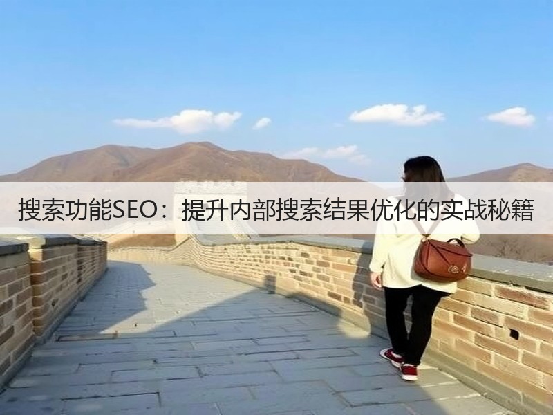 搜索功能SEO:提升内部搜索结果优化的实战秘籍(图2) 搜索功能SEO:提升内部搜索结果优化的实战秘籍(图2)