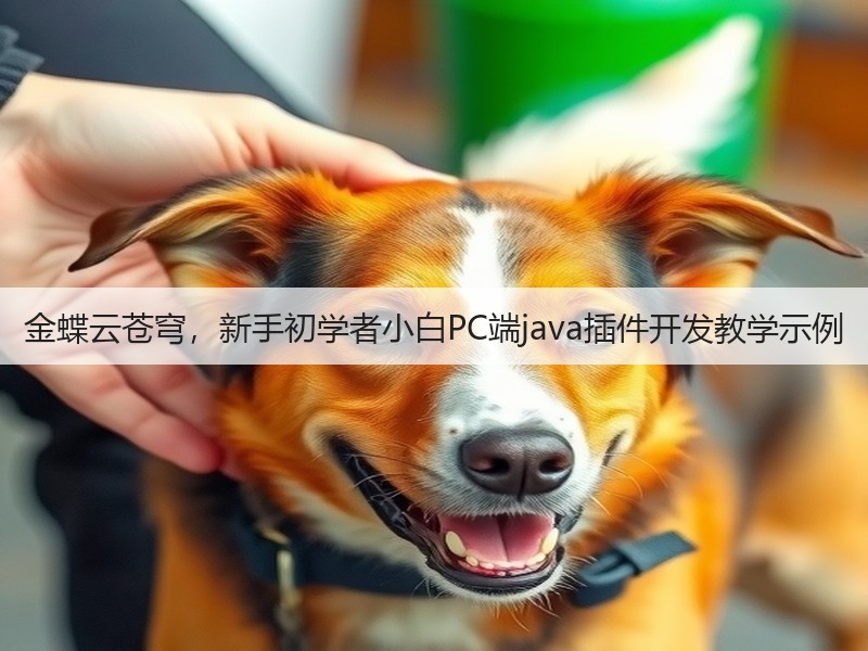 金蝶云苍穹,新手初学者小白PC端java插件开发教学示例(图2) 金蝶云苍穹,新手初学者小白PC端java插件开发教学示例(图2)