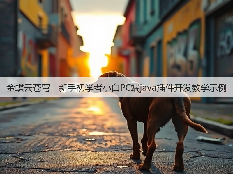 金蝶云苍穹,新手初学者小白PC端java插件开发教学示例(图2) 金蝶云苍穹,新手初学者小白PC端java插件开发教学示例(图2)