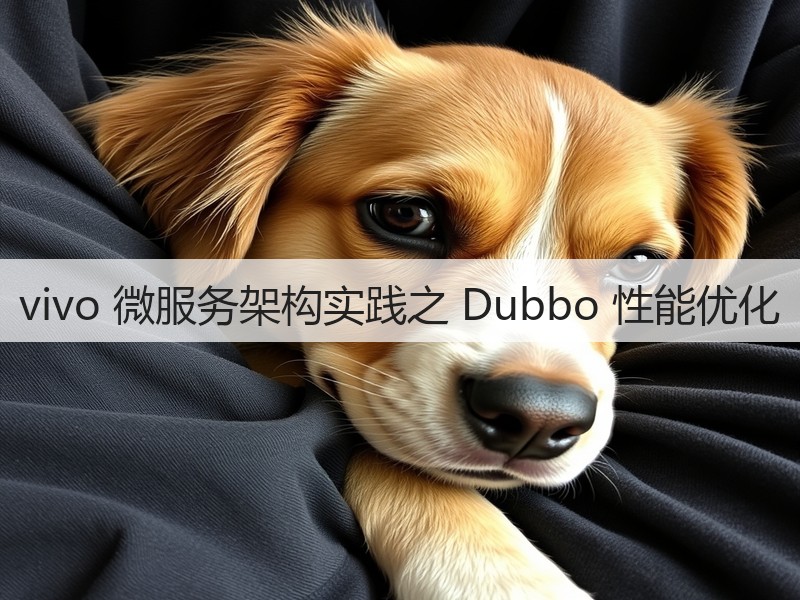 vivo 微服务架构实践之 Dubbo 性能优化(图3) vivo 微服务架构实践之 Dubbo 性能优化(图3)