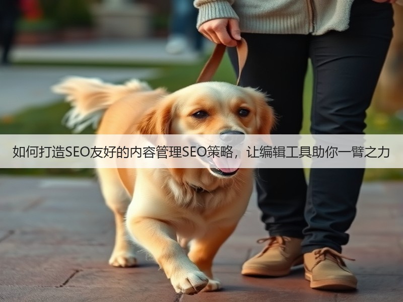 如何打造SEO友好的内容管理SEO策略,让编辑工具助你一臂之力(图1) 如何打造SEO友好的内容管理SEO策略,让编辑工具助你一臂之力(图1)