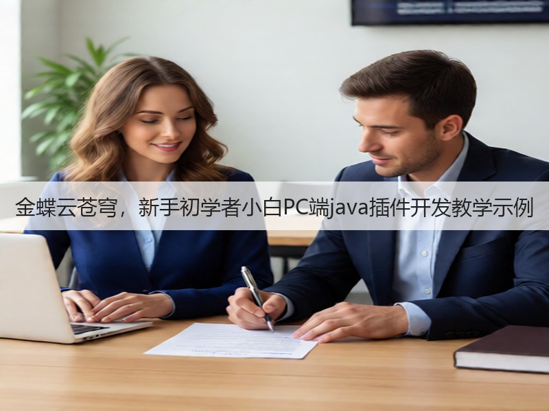 金蝶云苍穹,新手初学者小白PC端java插件开发教学示例(图3) 金蝶云苍穹,新手初学者小白PC端java插件开发教学示例(图3)