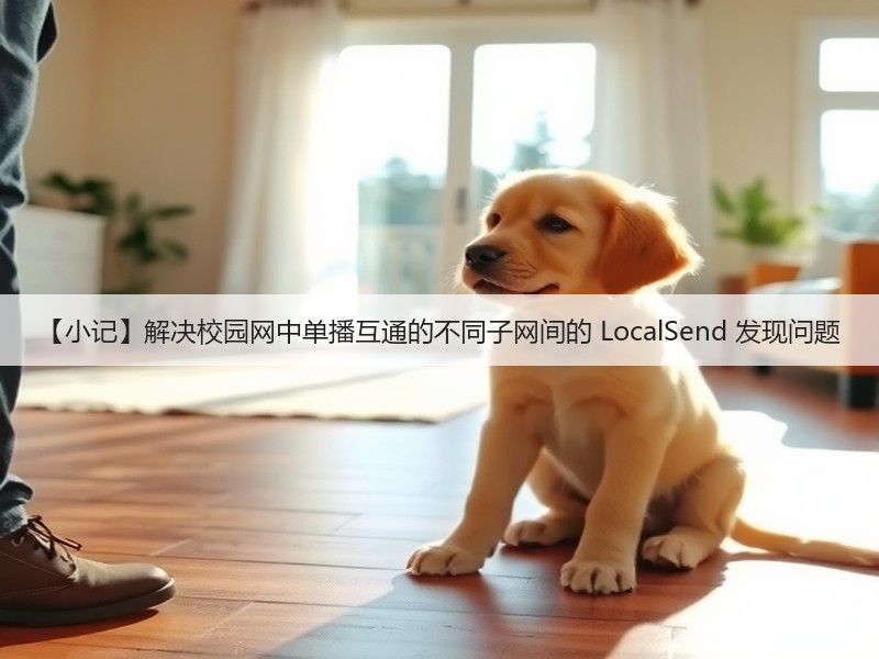 【小记】解决校园网中单播互通的不同子网间的 LocalSend 发现问题(图2) 【小记】解决校园网中单播互通的不同子网间的 LocalSend 发现问题(图2)