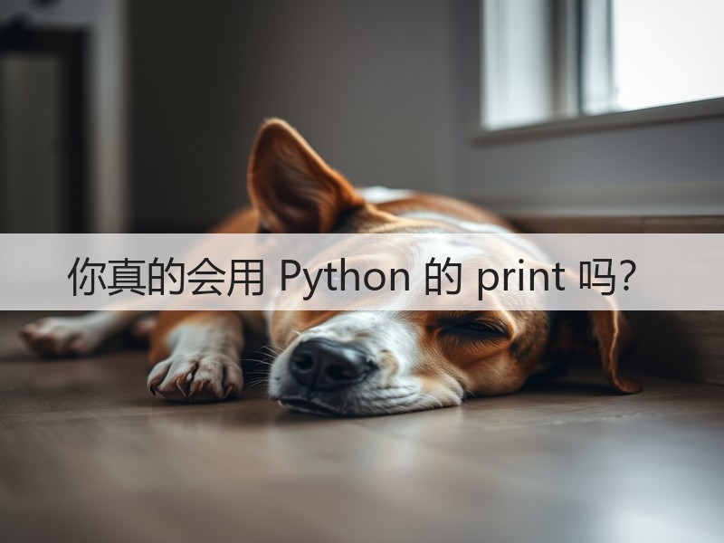 你真的会用 Python 的 print 吗?(图2) 你真的会用 Python 的 print 吗?(图2)