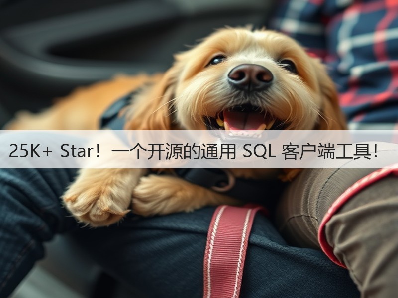 25K+ Star!一个开源的通用 SQL 客户端工具!(图2) 25K+ Star!一个开源的通用 SQL 客户端工具!(图2)