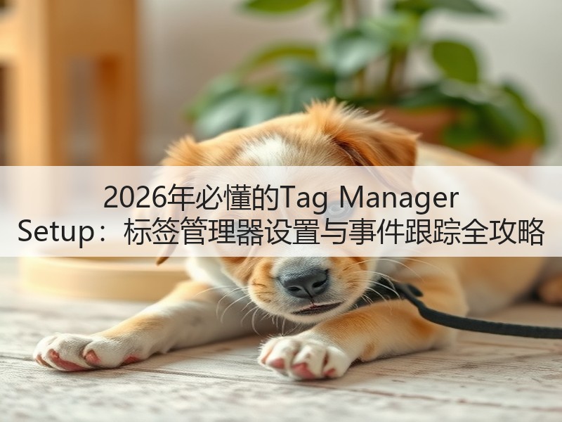 2026年必懂的Tag Manager Setup:标签管理器设置与事件跟踪全攻略(图2) 2026年必懂的Tag Manager Setup:标签管理器设置与事件跟踪全攻略(图2)