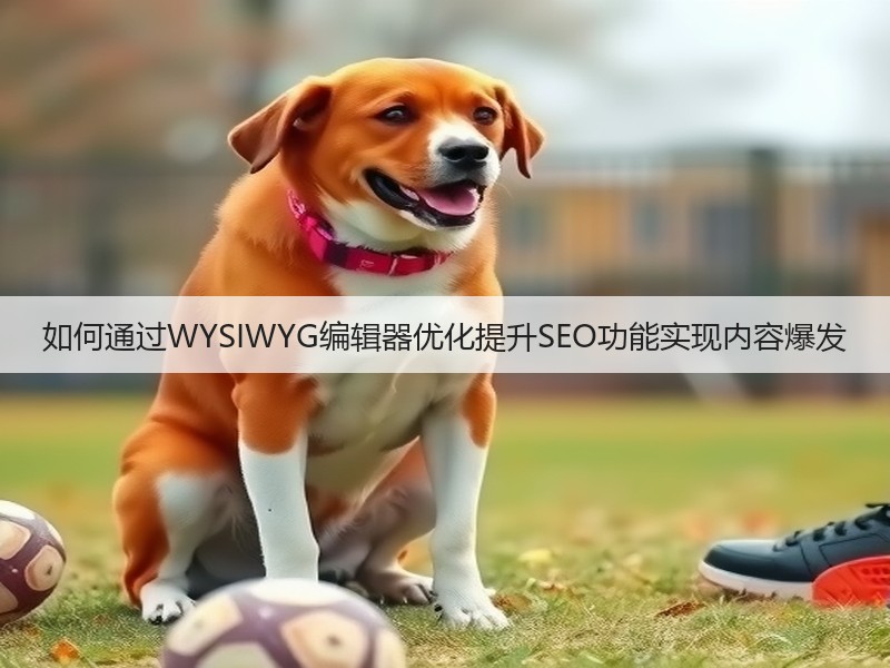 如何通过WYSIWYG编辑器优化提升SEO功能实现内容爆发(图2) 如何通过WYSIWYG编辑器优化提升SEO功能实现内容爆发(图2)