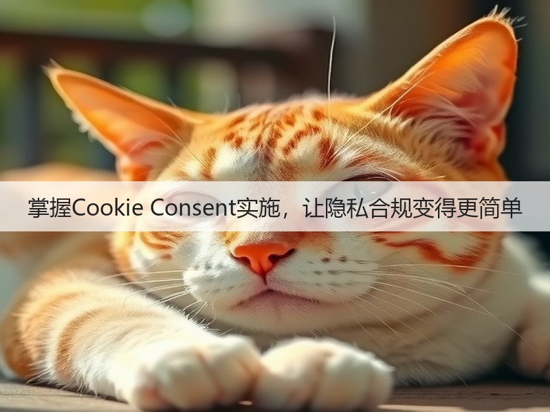 掌握Cookie Consent实施,让隐私合规变得更简单(图1) 掌握Cookie Consent实施,让隐私合规变得更简单(图1)