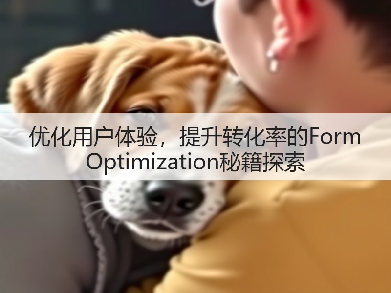 优化用户体验,提升转化率的Form Optimization秘籍探索(图2) 优化用户体验,提升转化率的Form Optimization秘籍探索(图2)